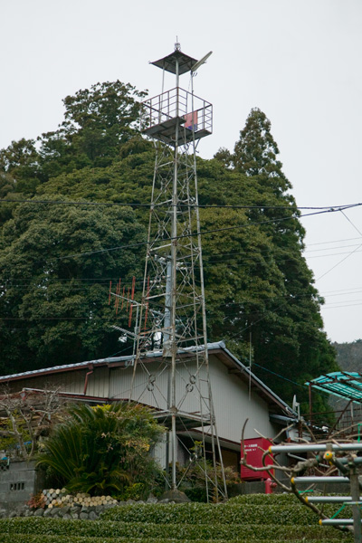 桑野山の火の見